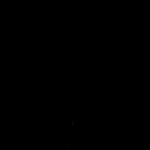 арт. 246997202  BLACK