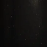 арт. 245594 672 Пантера